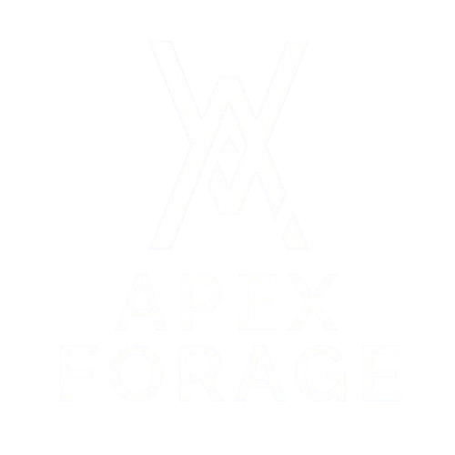 Community Image